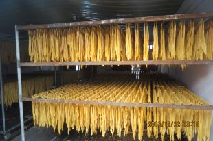 山东腐竹豆制品生产